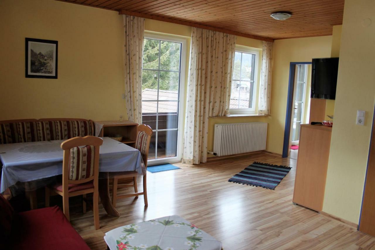 Apartment Santner *