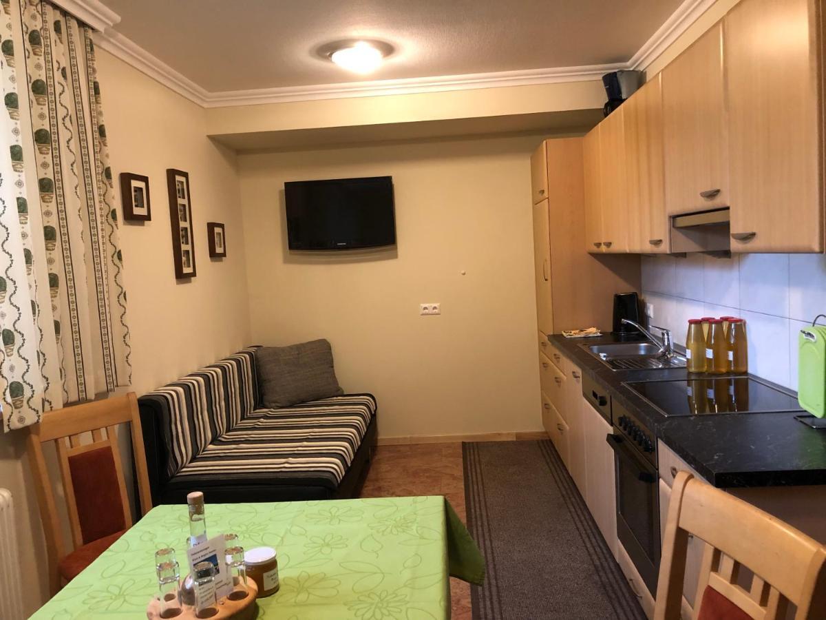 Santner Apartment *